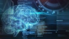 Diagram of a brain and data
